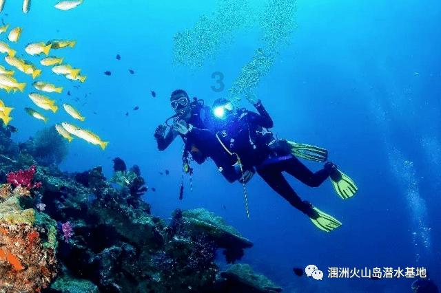 济南市2023年外贸进出口值2161亿元 增速高于全国