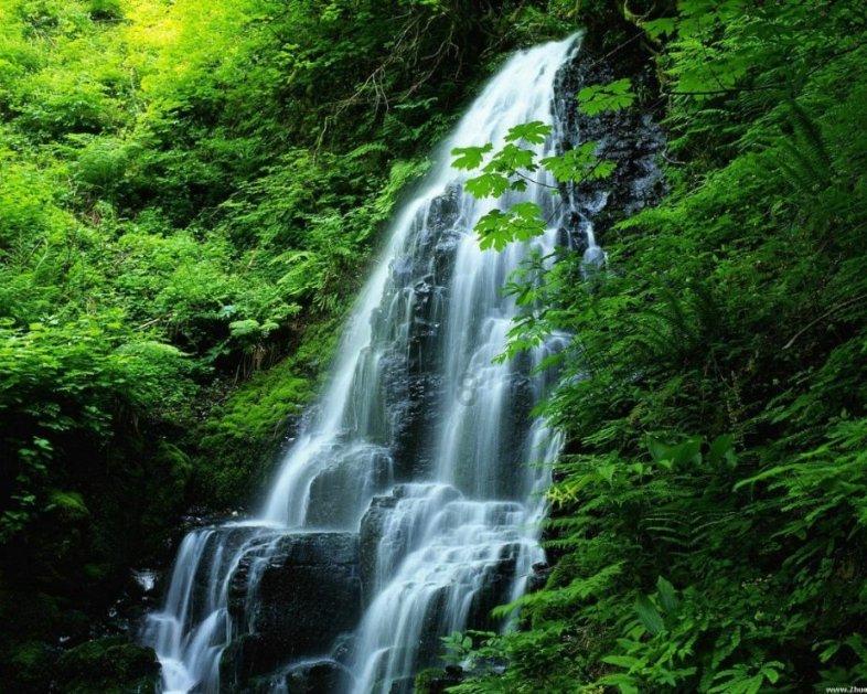 人民日报看吉林：坚持藏粮于地 藏粮于技